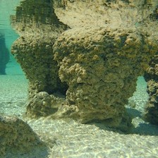 shark-bay-stromatolites-e1349798232225