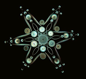 Exhibition Mount of Arranged Diatoms by Watson & Sons, London, c. 1885 (Credit: Creative Commons)