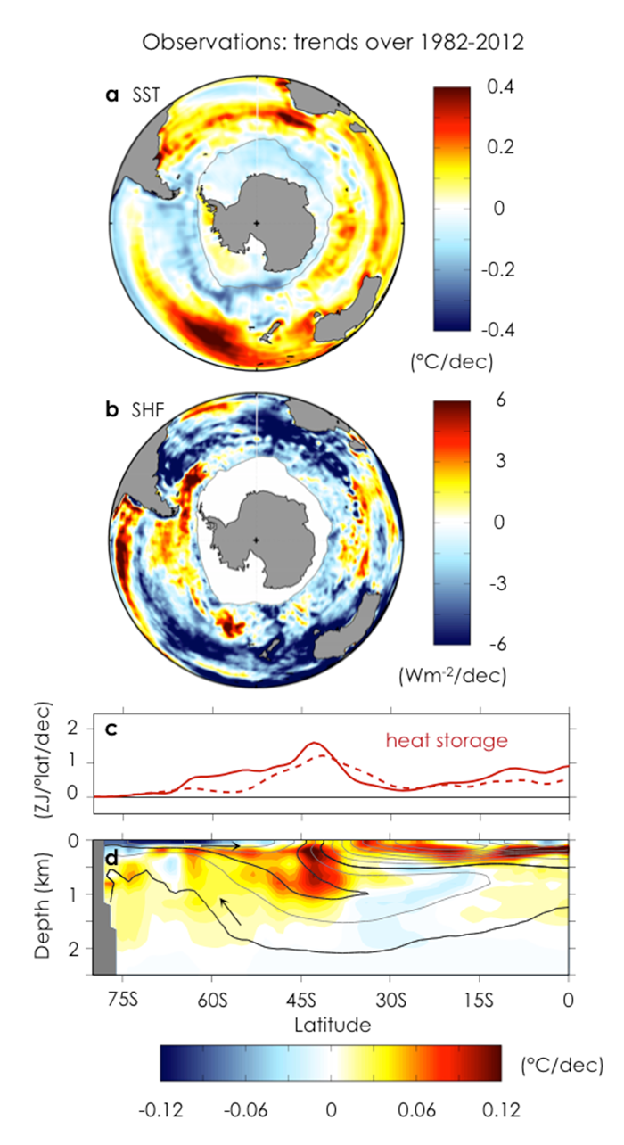 Observed trends over 1982–2012. a, Annual-mean sea surface temperature trend. b, Net surface heat flux trend (positive into ocean). c, Zonally and depth-integrated ocean heat content trends from two di erent subsurface temperature data sets. d, Zonal-mean ocean potential temperature trend with contours of climatological ocean salinity. Arrows indicate the orientation of the residual-mean MOC following along contours (black lines). Grey line in a and b shows maximum winter sea-ice extent. (Image courtesy of the authors)