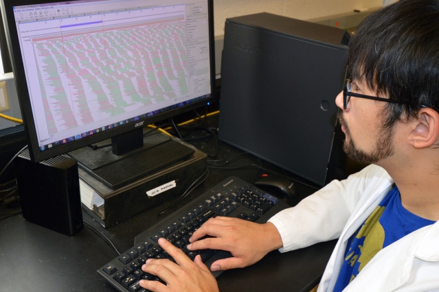 Philip Arevalo, a CEE grad student, studies Vibrionaceae bacteria genomic data for signs of adaptive radiation. (Photo: Marilyn Siderwicz)