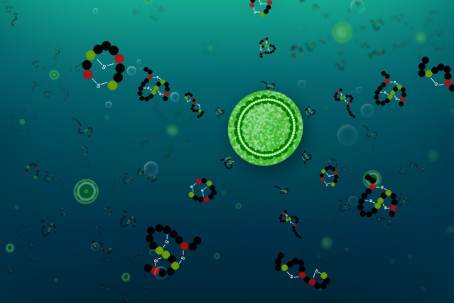 Researchers have discovered that Prochlorococcus varieties can each produce more than two dozen different peptides (molecules that are similar to proteins, but smaller). (Image: Christine Daniloff/MIT)