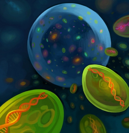 MIT scientists discovered an amazing amount of diversity among a population of marine microbes living in a few drops of water. Each subpopulation of the marine microbe Prochlorococcus is characterized by a shared genomic "backbone." The figurative backbones are depicted in this artist's rendering. (Image: Carly Sanker/MIT