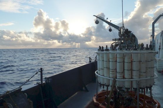 Scientists on an oceanographic research ship lower a rosette of 24 bottles into the ocean to capture samples of wild microbes in their natural habitat. (Photo: Paul Berube/MIT)