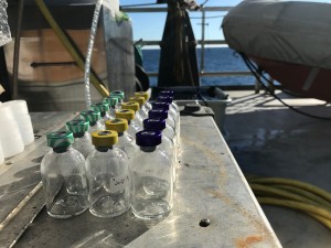 Sample bottles for storing water (Photo: courtesy of Tyler Tamasi)