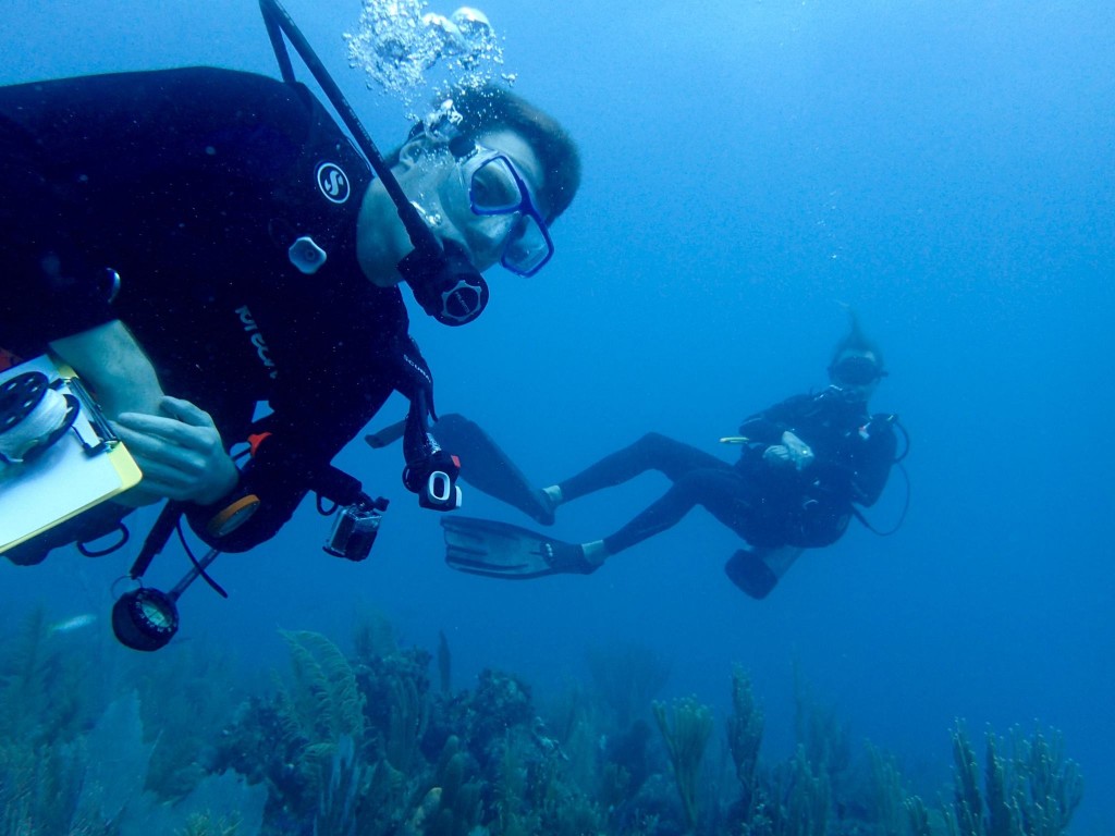 MIT-WHOI Joint Program student Tyler Tamasi dives in the Gardens of the Queen. (Photo: courtesy of Tyler Tamasi)