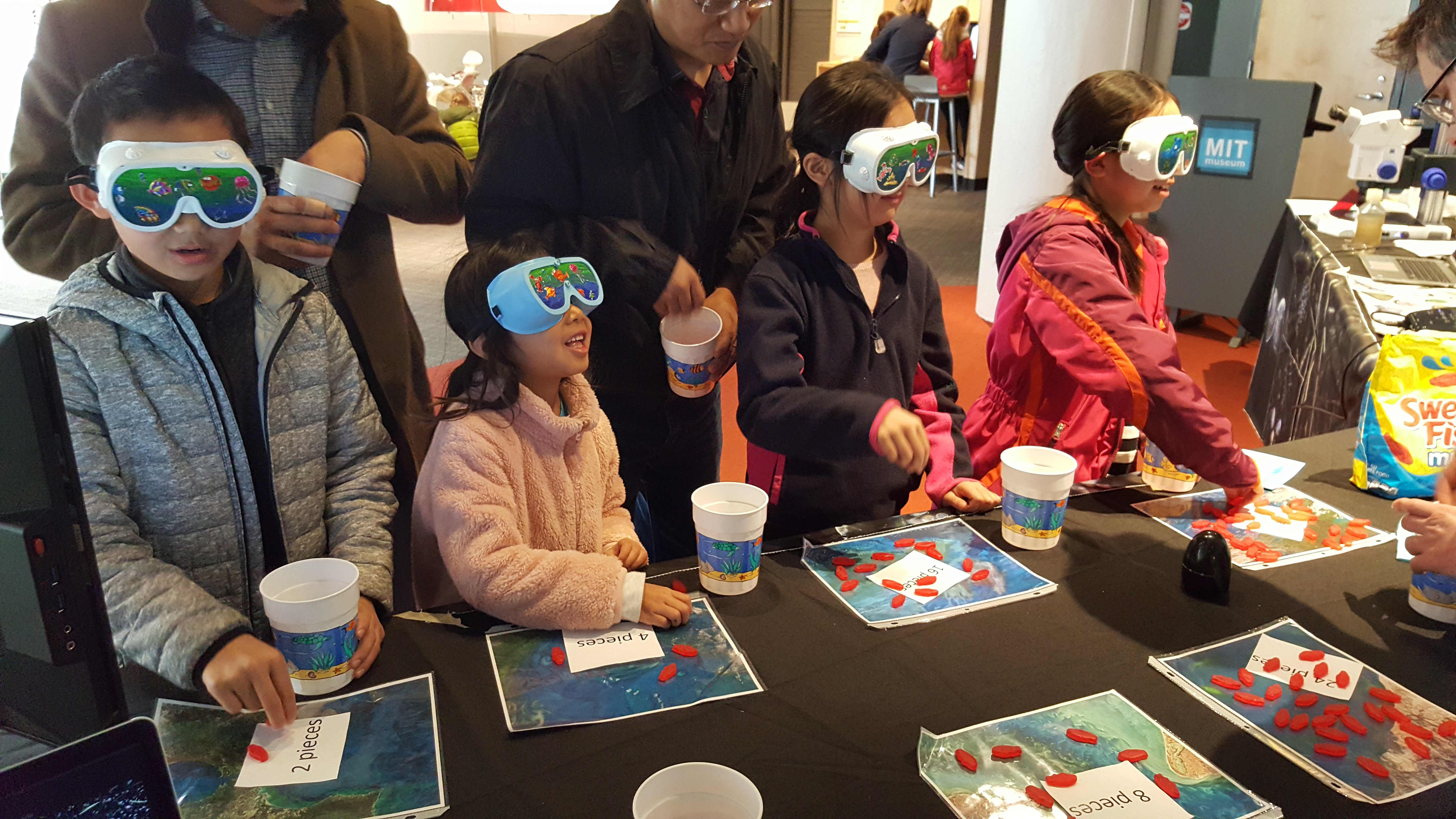 Playing a game based on the work of ecologist Crawford Stanley (Buzz) Holling. (Photo: Courtesy of Jonathan Lauderdale)