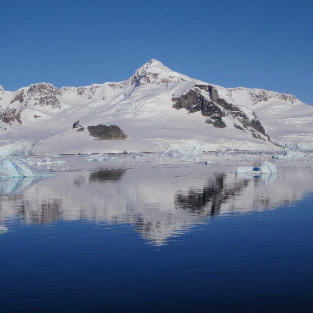 Antarctic Reflection