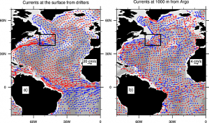 Mean currents at (a) the surface from the Global Drifter Program and (b) a depth of 1000 m derived from Argo float displacements. The black box indicates the transition zone (TZ). (Figure courtesy of Nicolas Barrier (OT-MED Labex)).