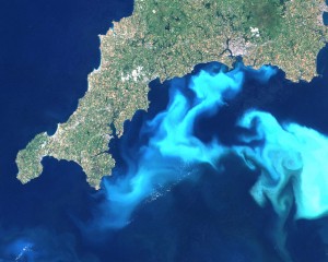 An algae bloom off the southern coast of Devon and Cornwall in England, in 1999. (Credit: PD-USGOV-NASA/Wikipedia)