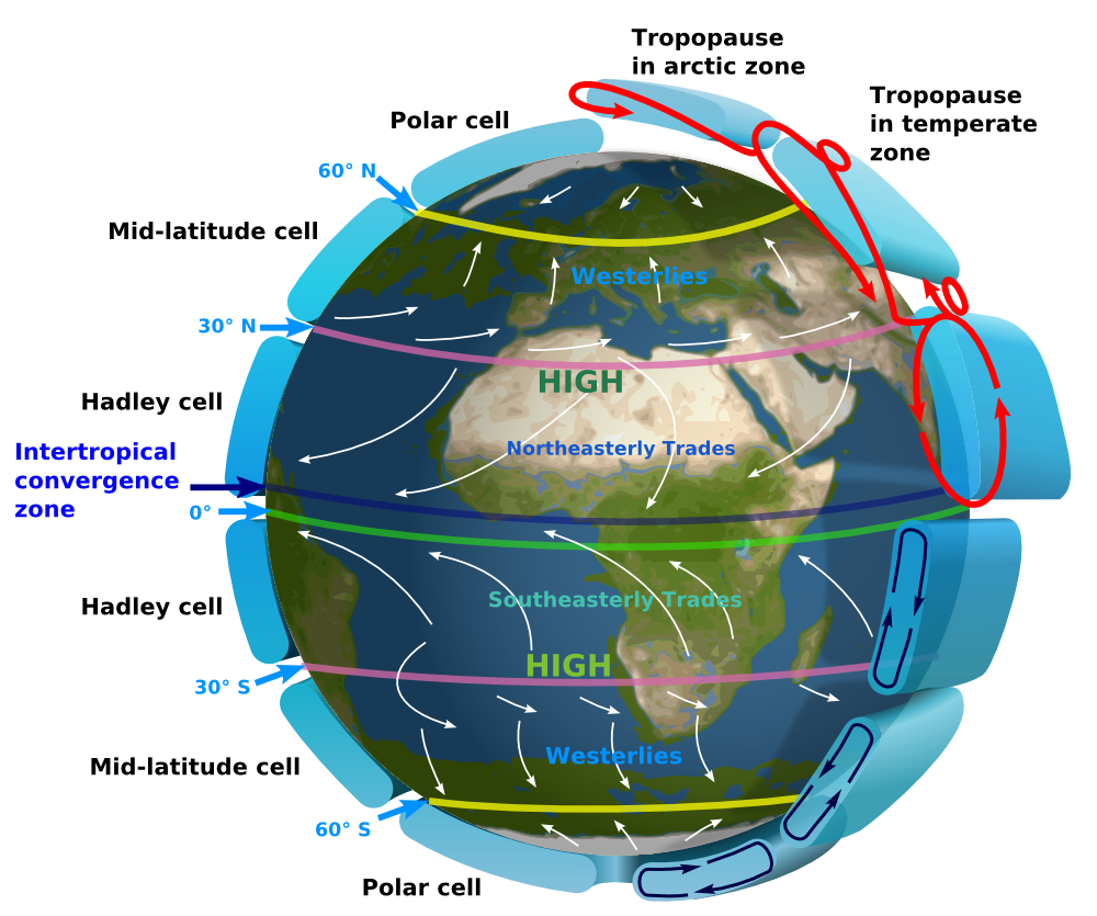 Global circulation of Earth's atmosphere displaying Hadley cell, Ferrell cell and polar cell. (Image: Kaidor, CC BY-SA 3.0) 